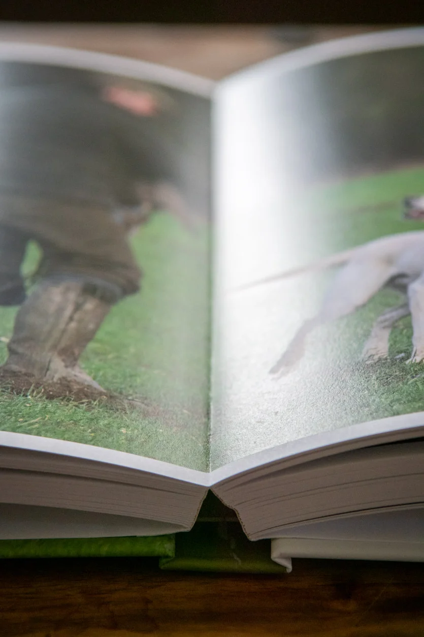 HBP_Photobook_9.jpg
