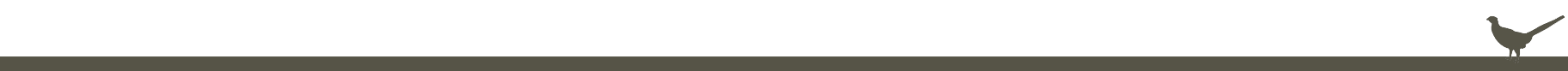 Divider.png