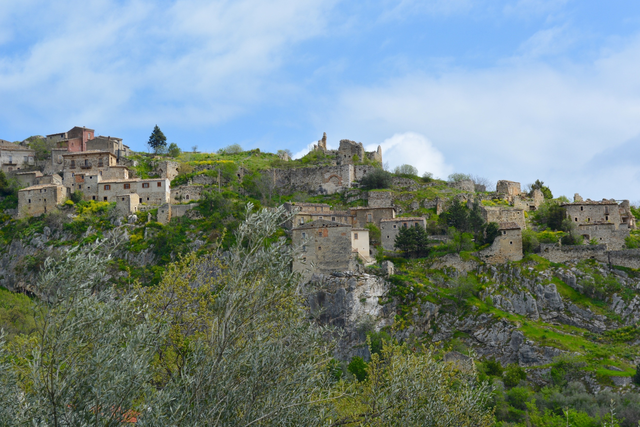 DSC_0947.jpg