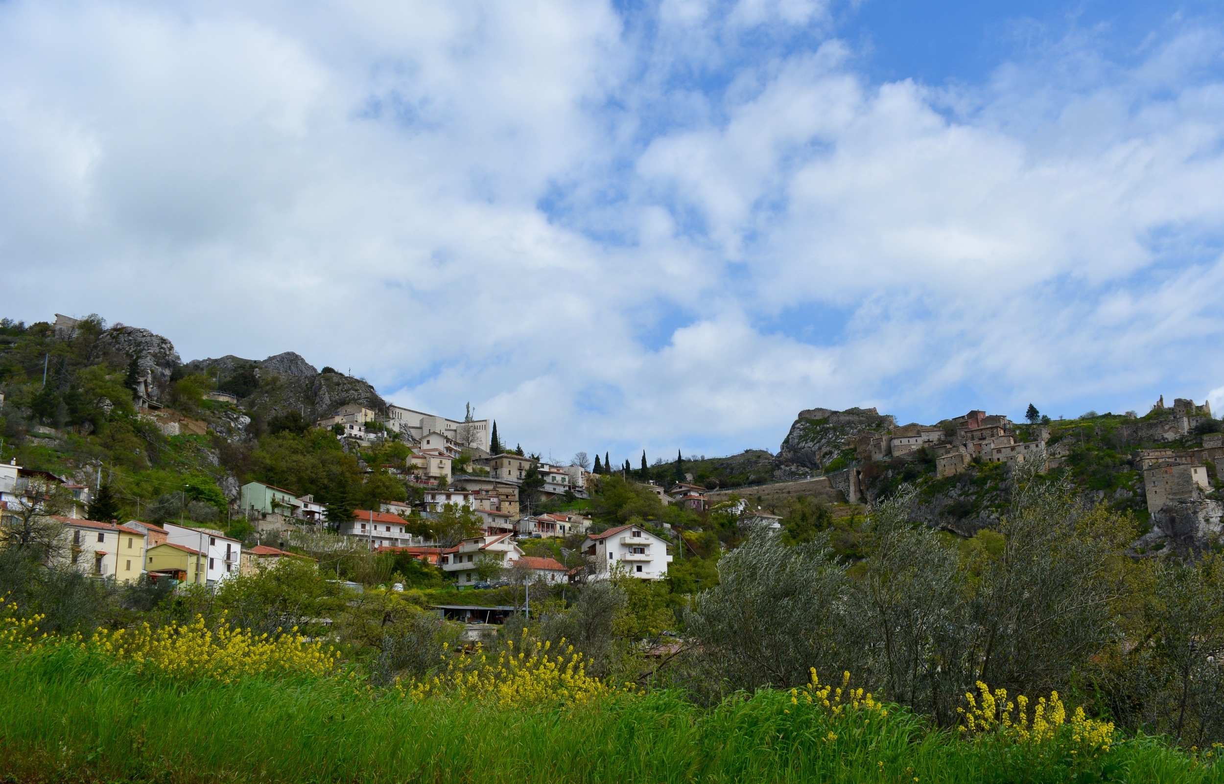 DSC_0955.jpg