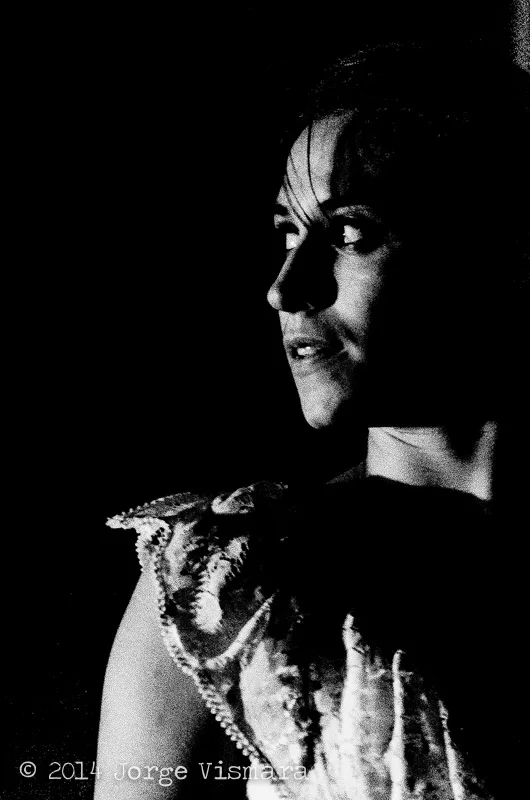 (un)bridaled image 4.jpg