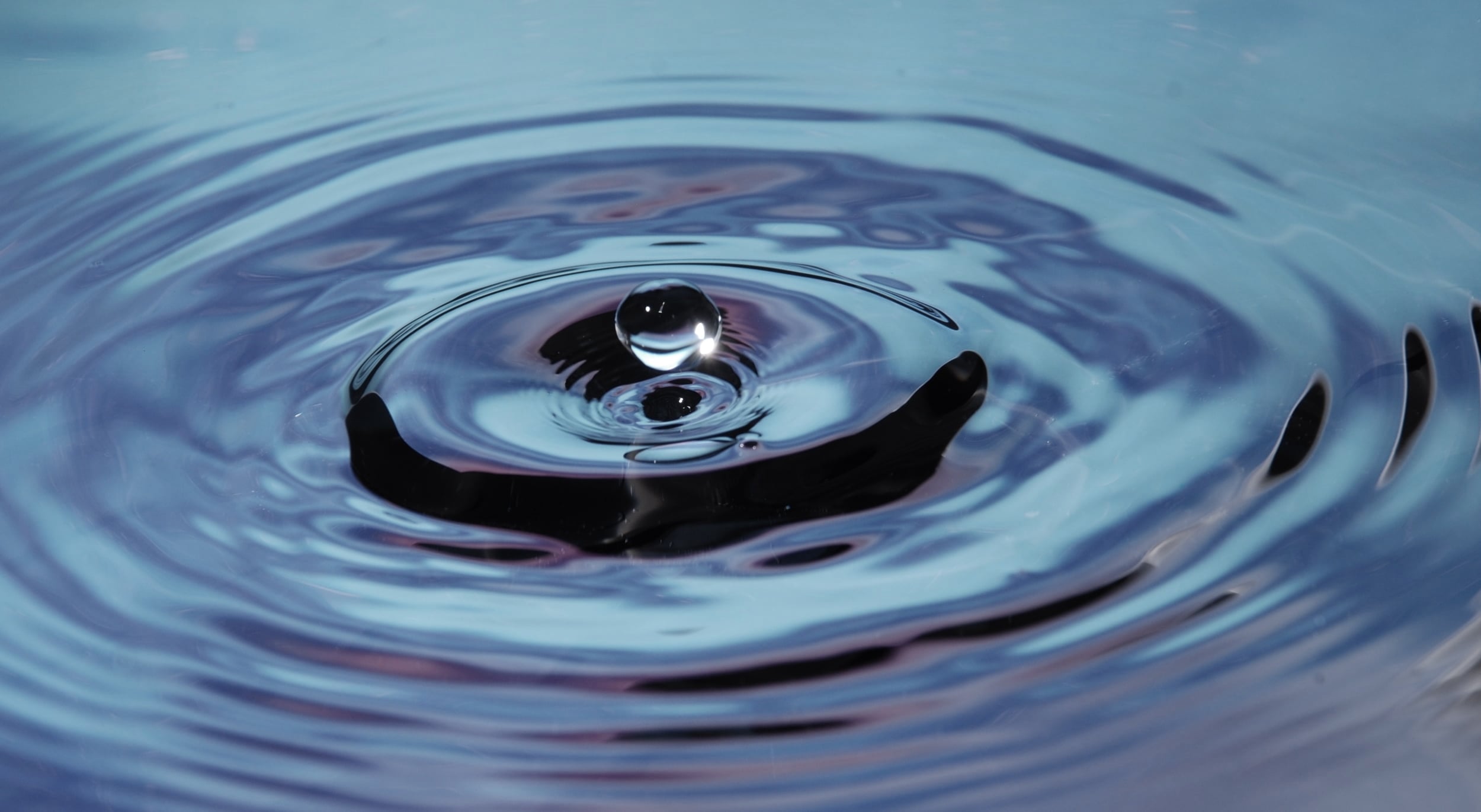 Lorem ipsum dolor sit amet, consectetur adipiscing elit. Etiam at felis vel nibh dignissim aliquet. Proin condimentum ligula quis vestibulum egestas. Duis eget leo consequat, tempus elit vel, mattis nunc. Ut condimentum, elit ut pharetra porta, nunc sem venenatis sapien, eu lobortis odio urna non lectus. Pellentesque ornare dui sapien