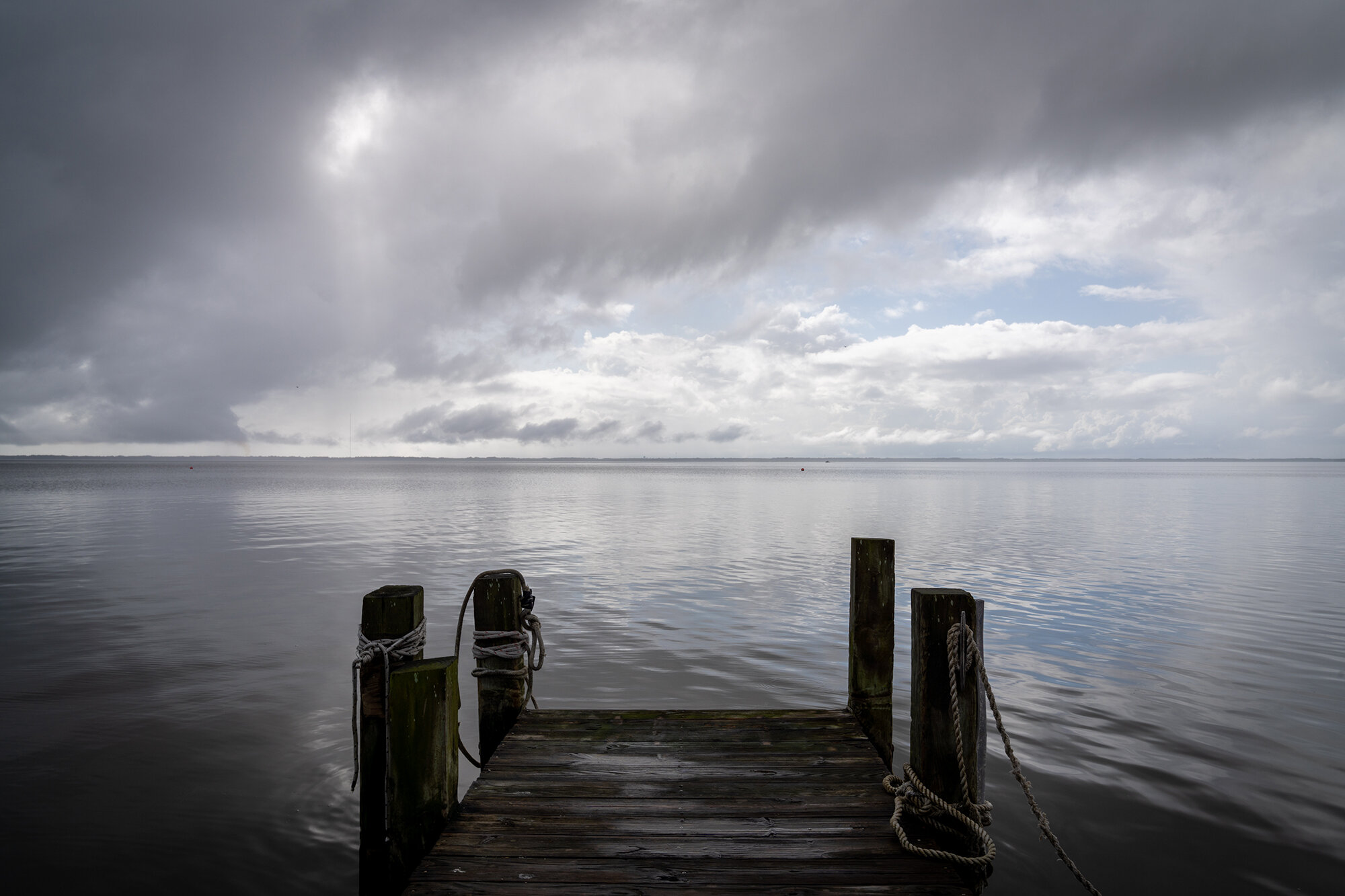 _DSC8556.jpg