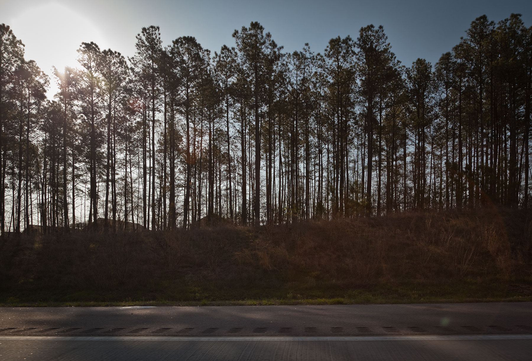  Highway 264, North Carolina 