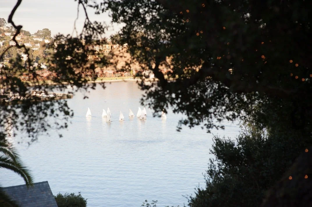 Beauty is Everywhere