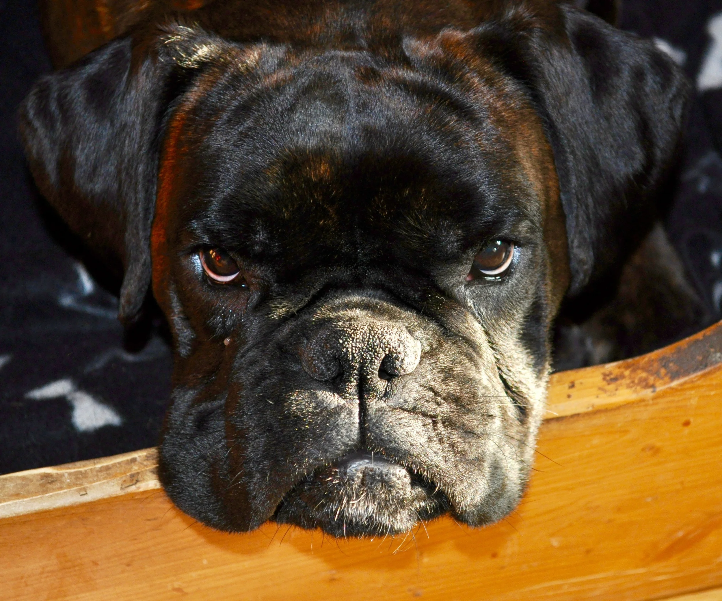 Because Rosa Said So...