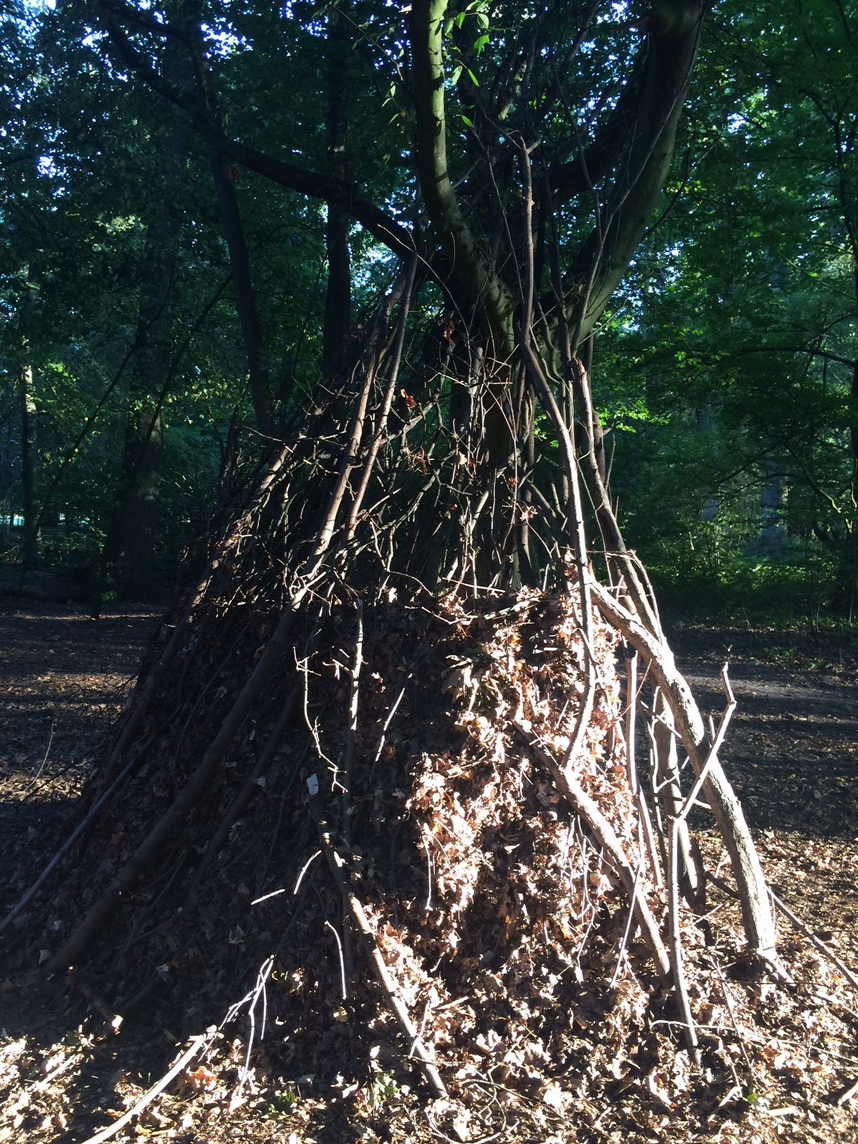 The Blair Witch-like structure I happened upon in the woods. 