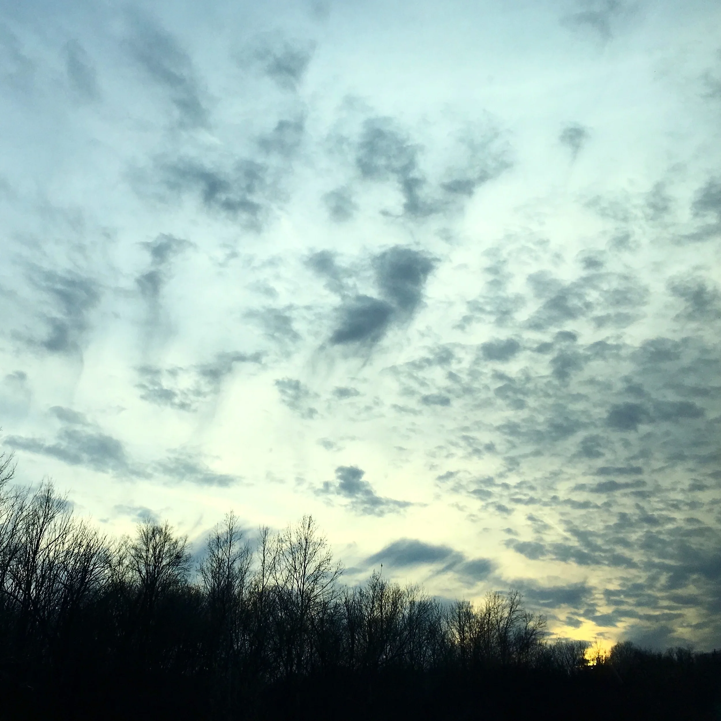 IMG_4352.JPG