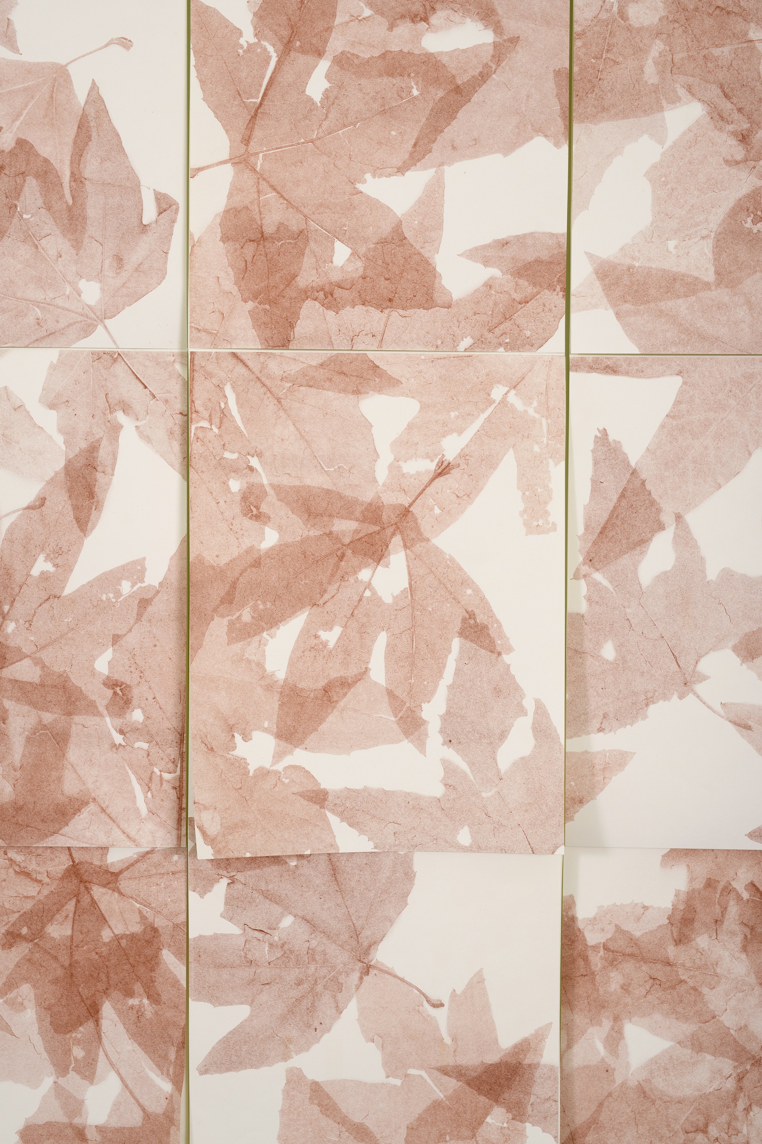 Zaleha_Descanso-8829_color edits.jpg