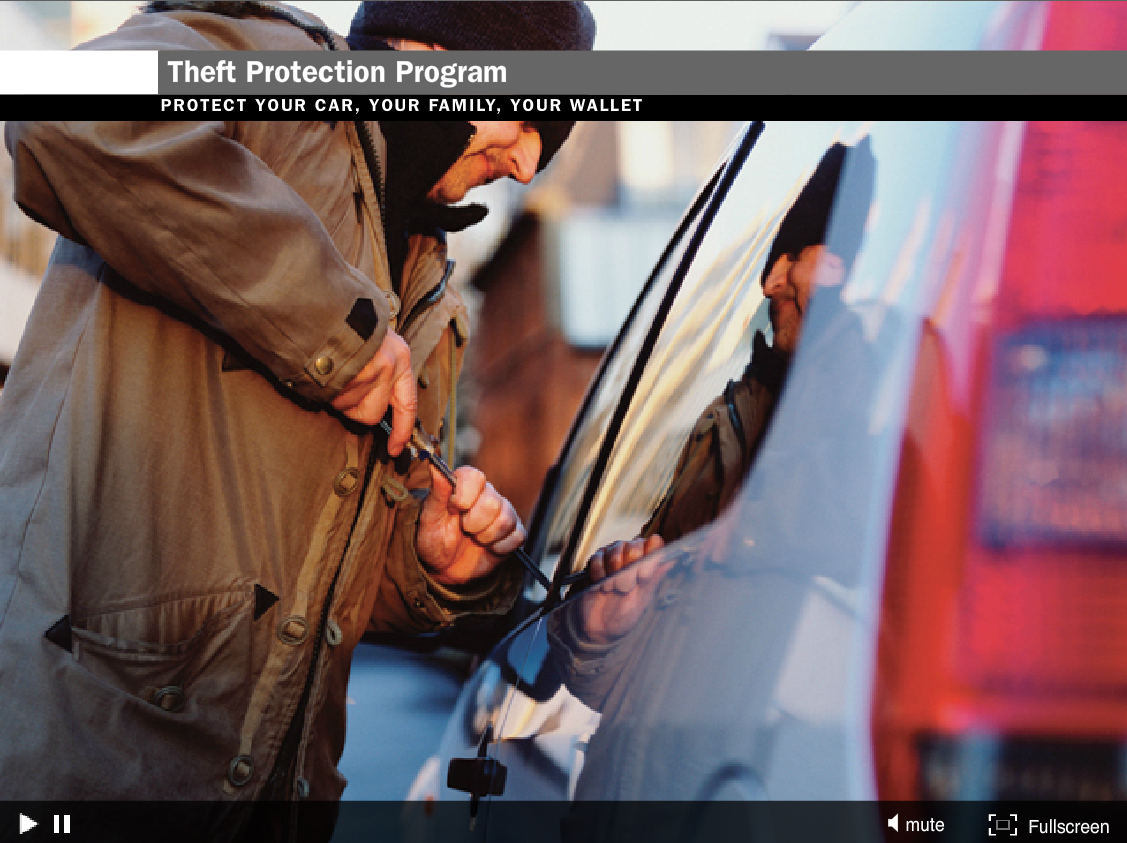 Safe-Guard Theft Protection Program Video
