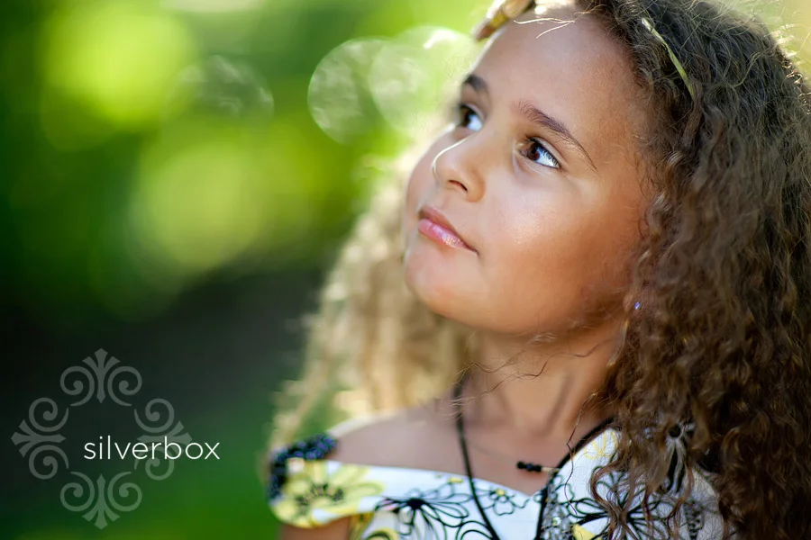0252_SilverBox.jpg