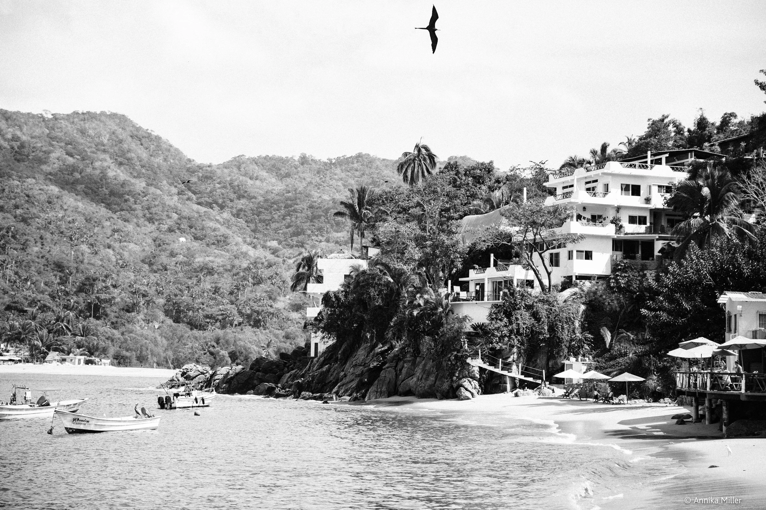 YelapaMexico19-59.jpg