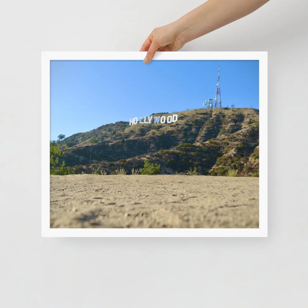 enhanced-matte-paper-framed-poster-(in)-white-16x20-front-61aff7ff44802.jpg