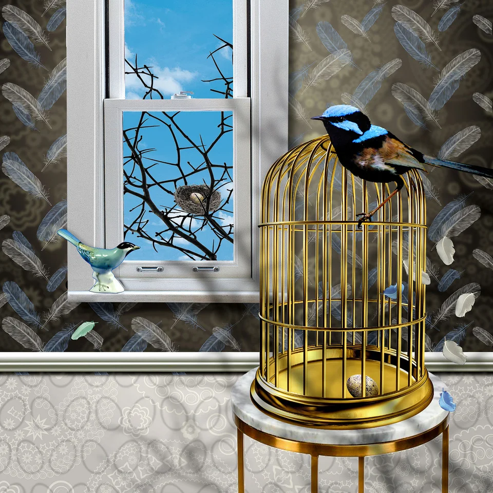 Bluebird_x_midrez.jpeg