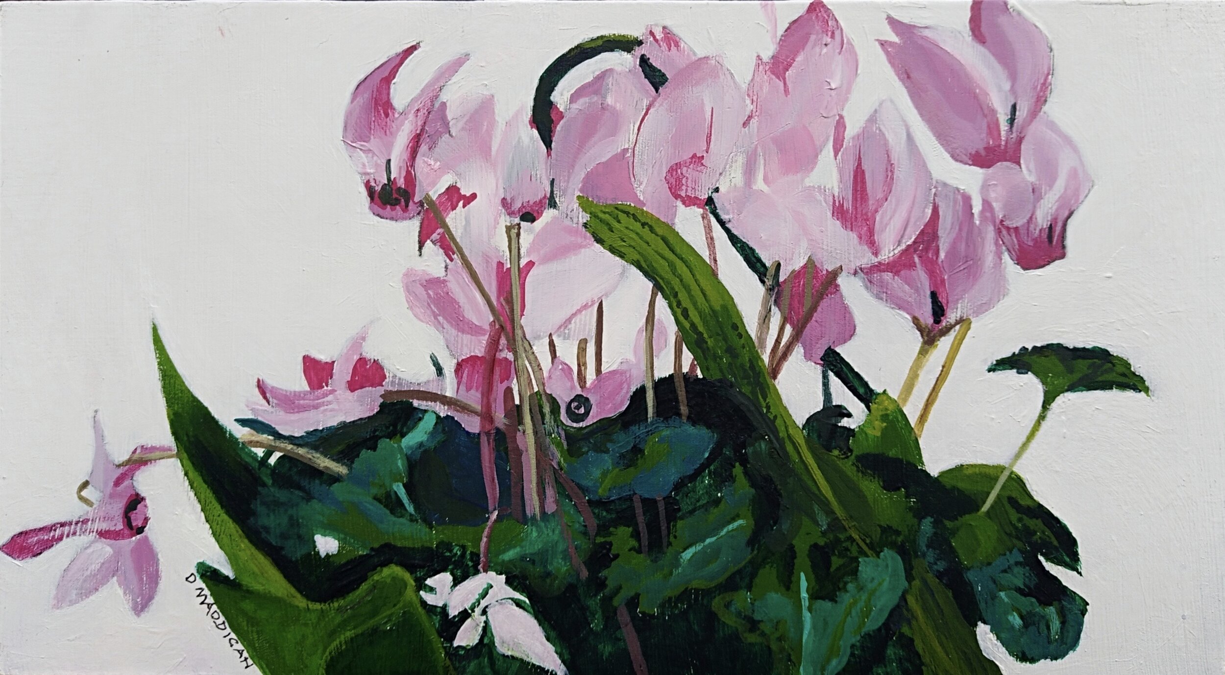 SOLD - Cyclamen