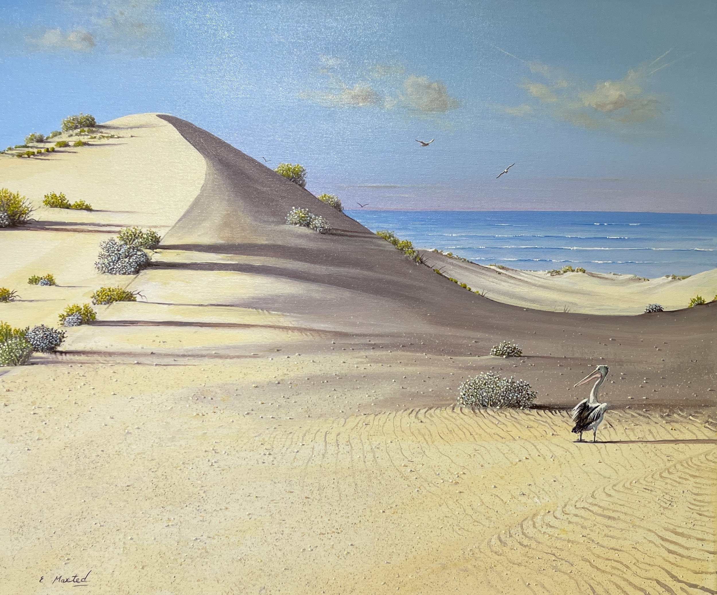 Beauty In The Dunes - 60cm x 50cm - $775