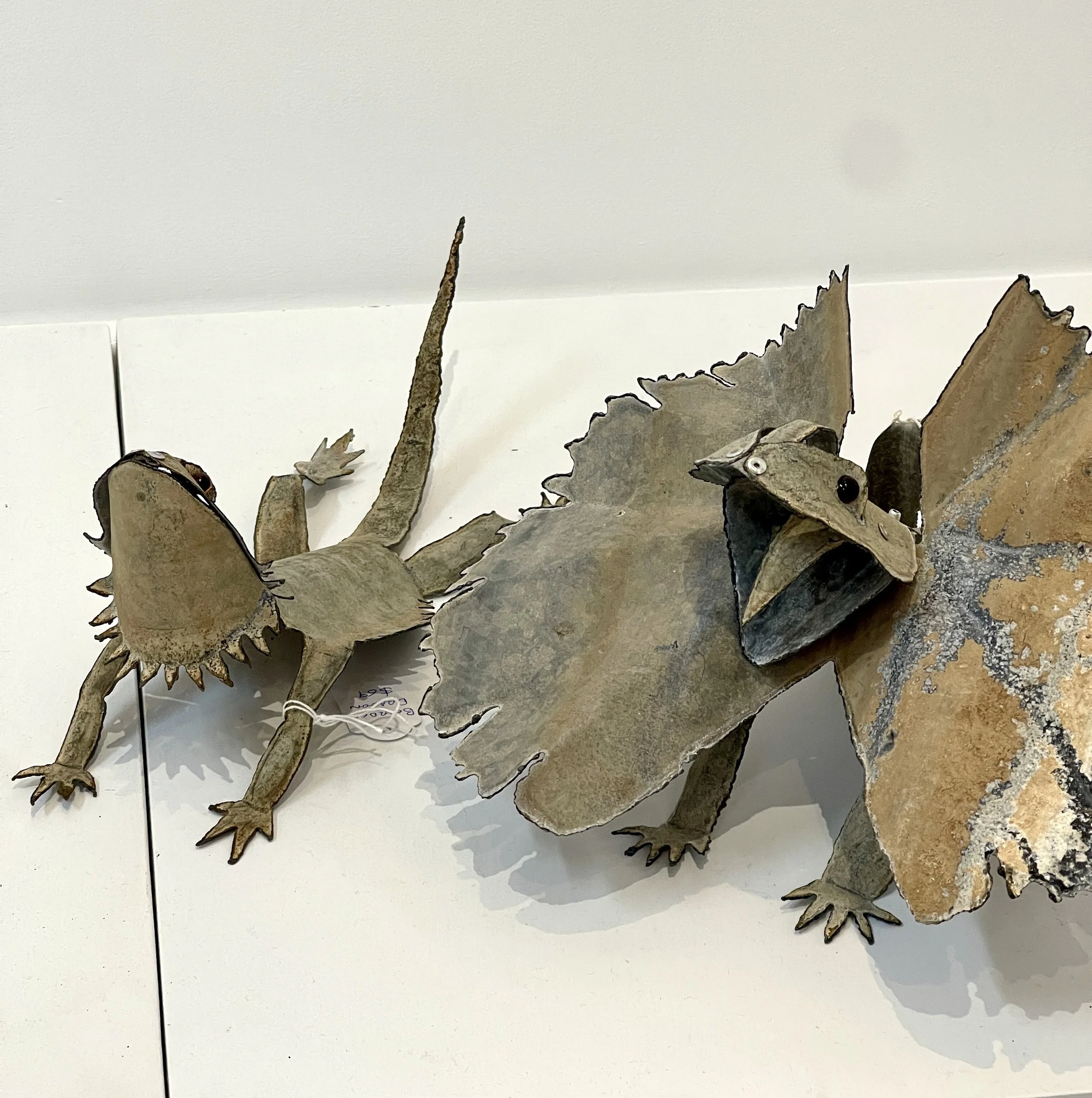 Lizards