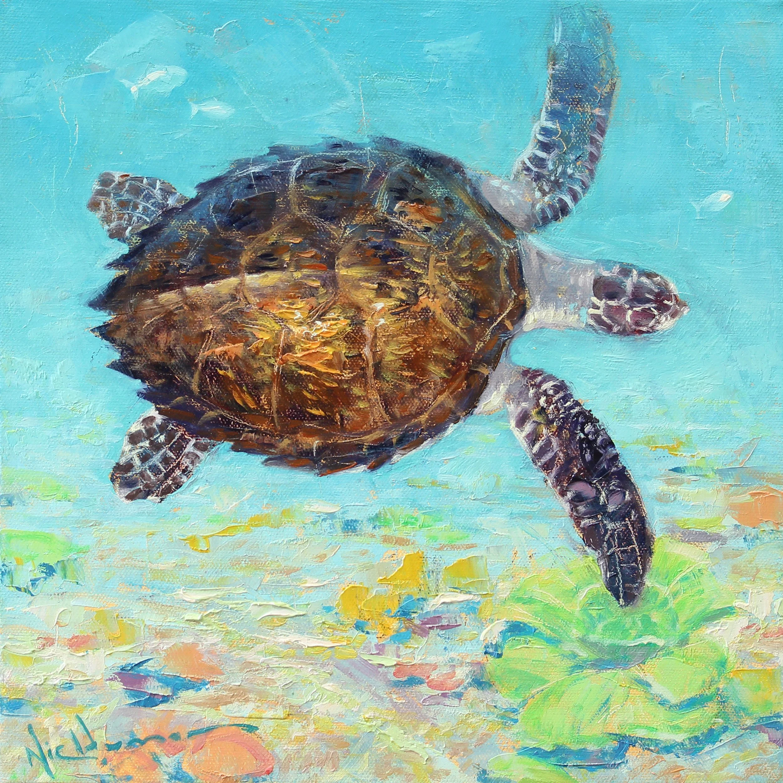 Hawksbill - 34cm x 34cm - $430