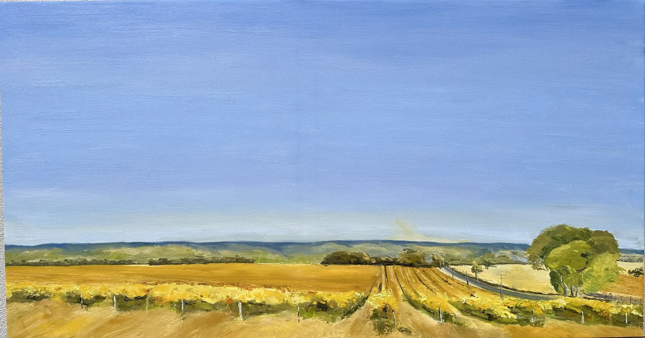 Willunga Horizons - 105cm x 58cm - $750