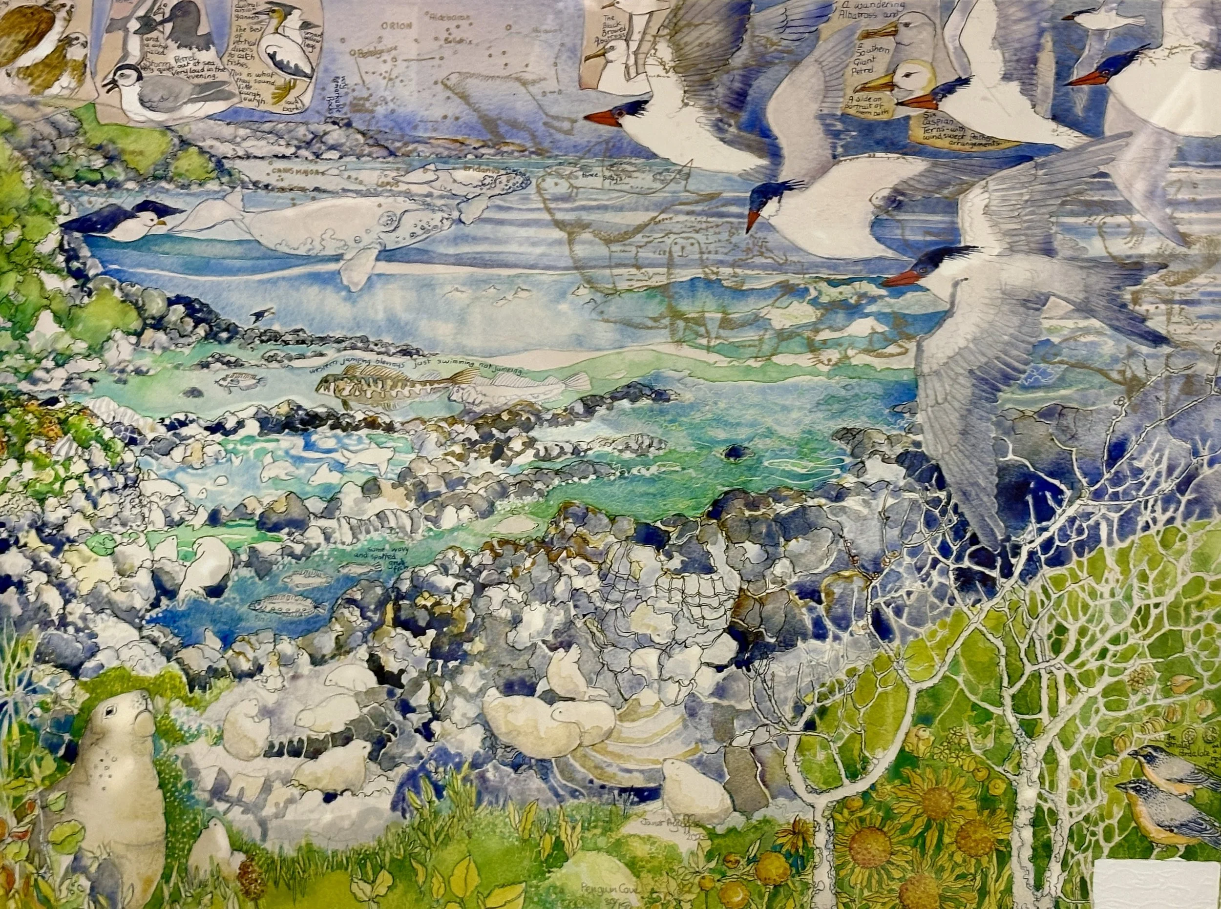 Penguin Cove 30/150 - 79cm x 66cm - $1,500