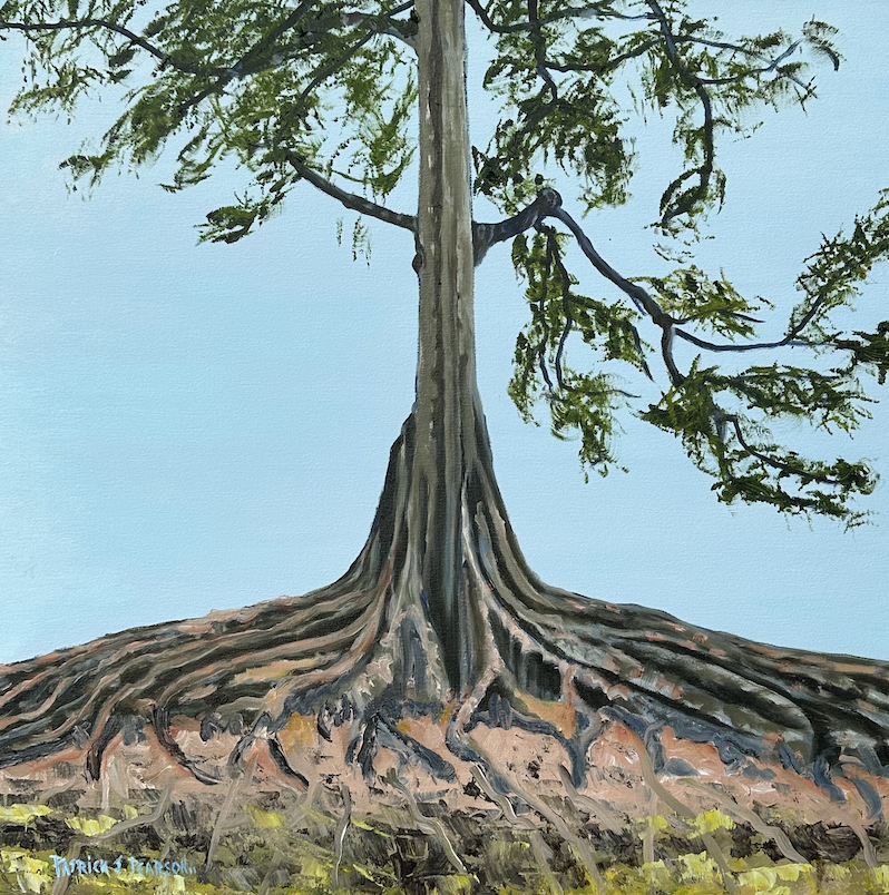 Morton Bay Fig, Botanic Gardens - 64cm x 64cm - $995