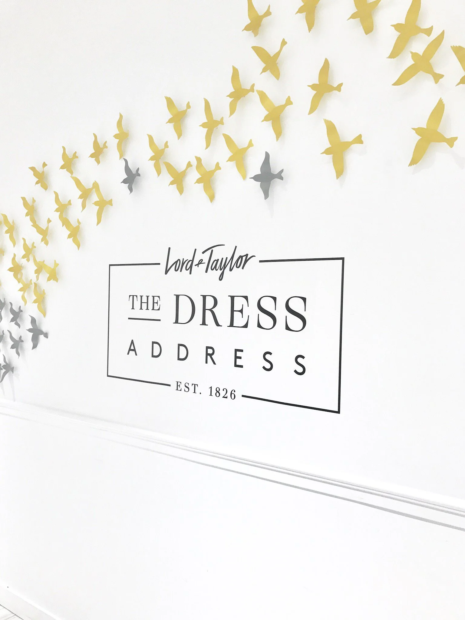 LT Dress Adress.jpg
