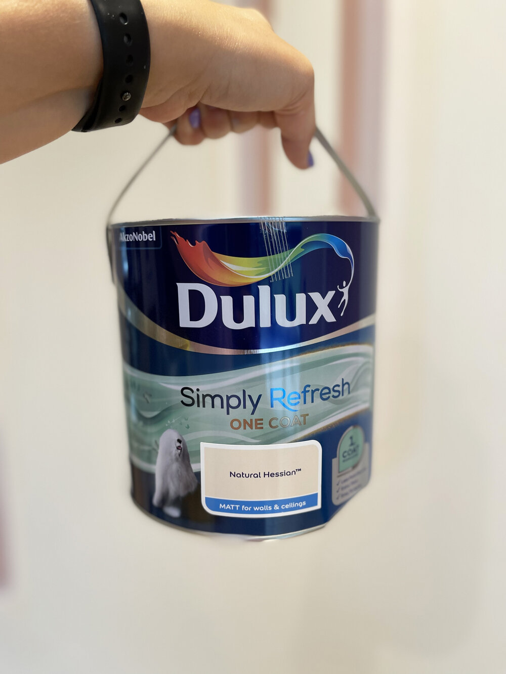 HOW TO CREATE A PAINTED WALL MURAL, INSPIRED BY DULUX CHANGING ROOMS 