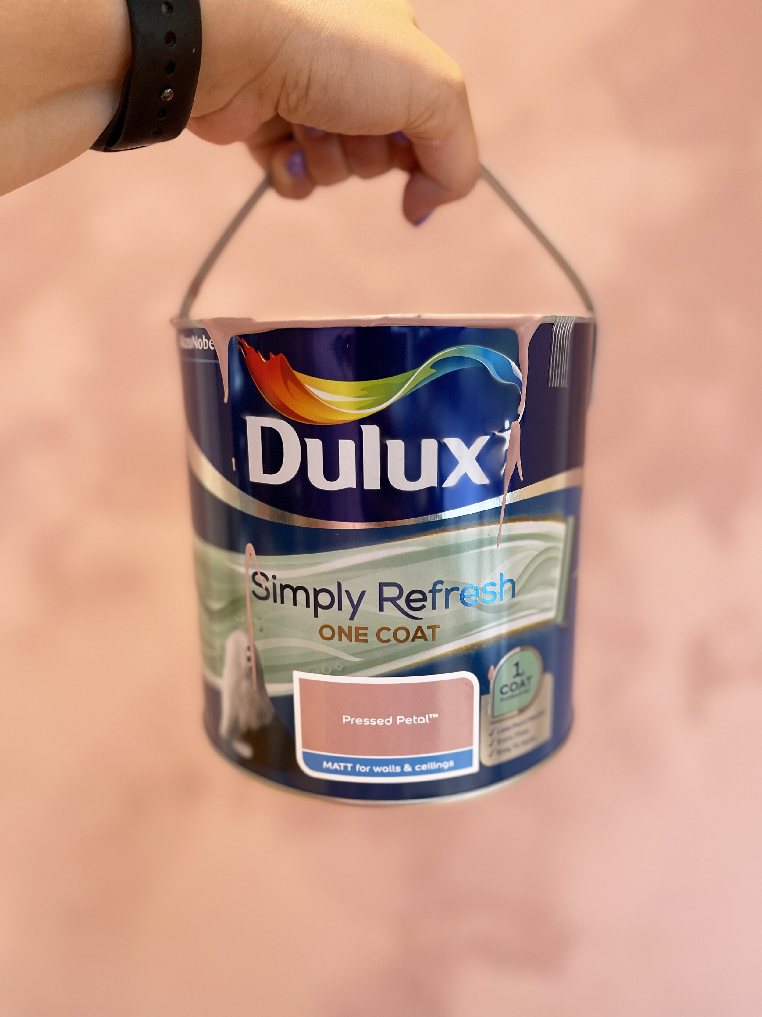 HOW TO CREATE A PAINTED WALL MURAL, INSPIRED BY DULUX CHANGING ROOMS
