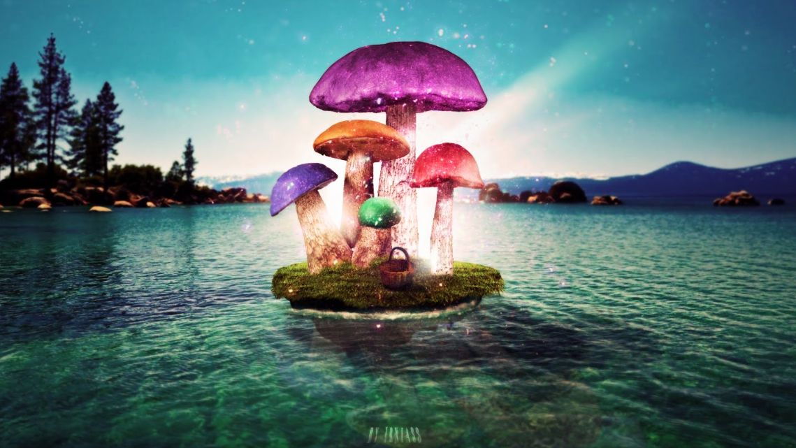 Mushroom Tea Ceremony of Boundless Insight