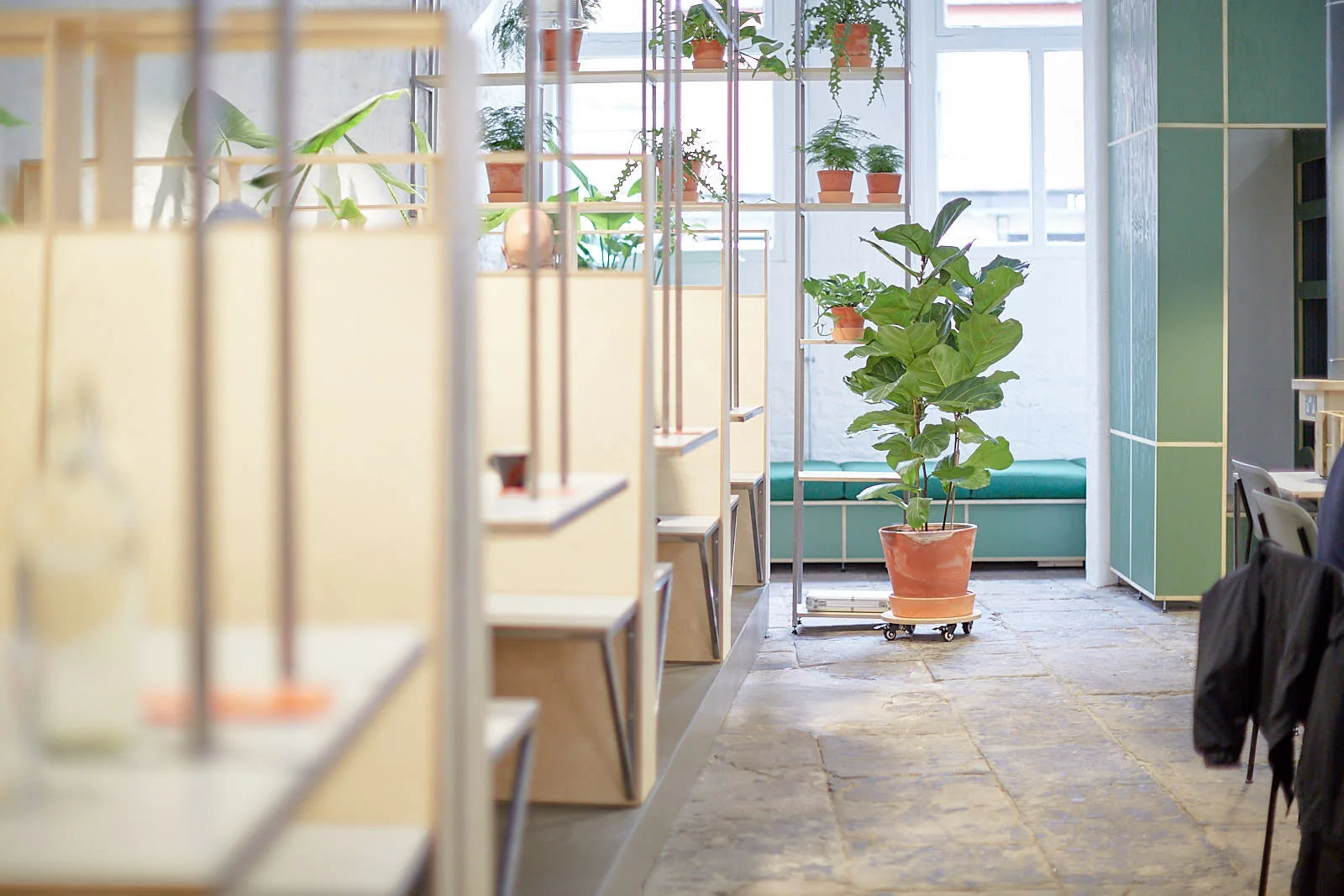 Framework tables and plants