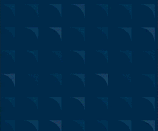 NYSF_4.gif