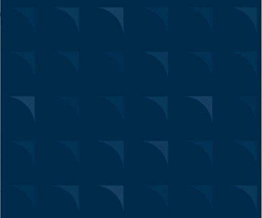 NYSF_5.gif