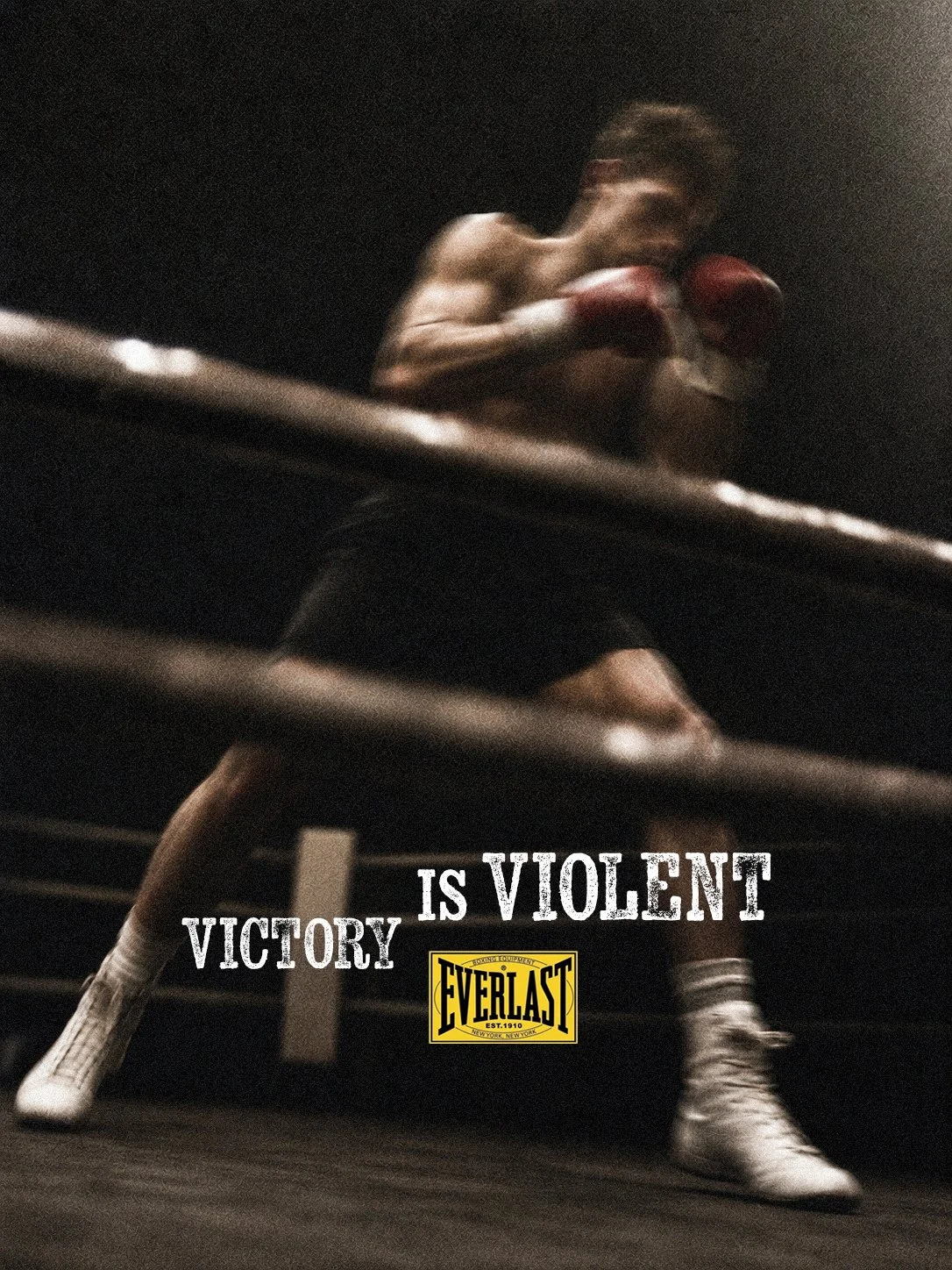 boxer 1.jpg