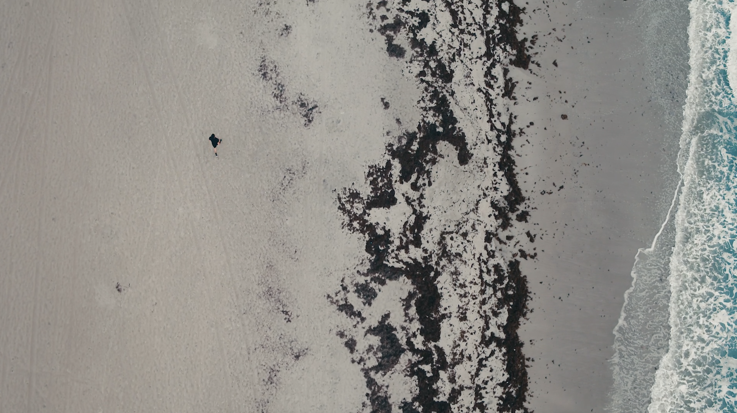 Screen Shot 2019-05-01 at 9.24.45 PM.png