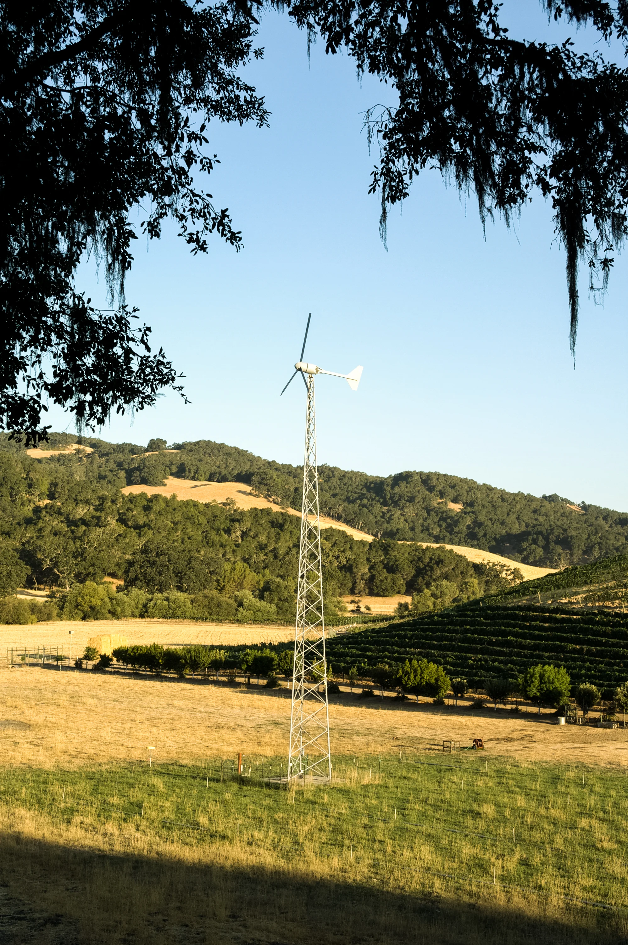 windturbine-1-2.jpg