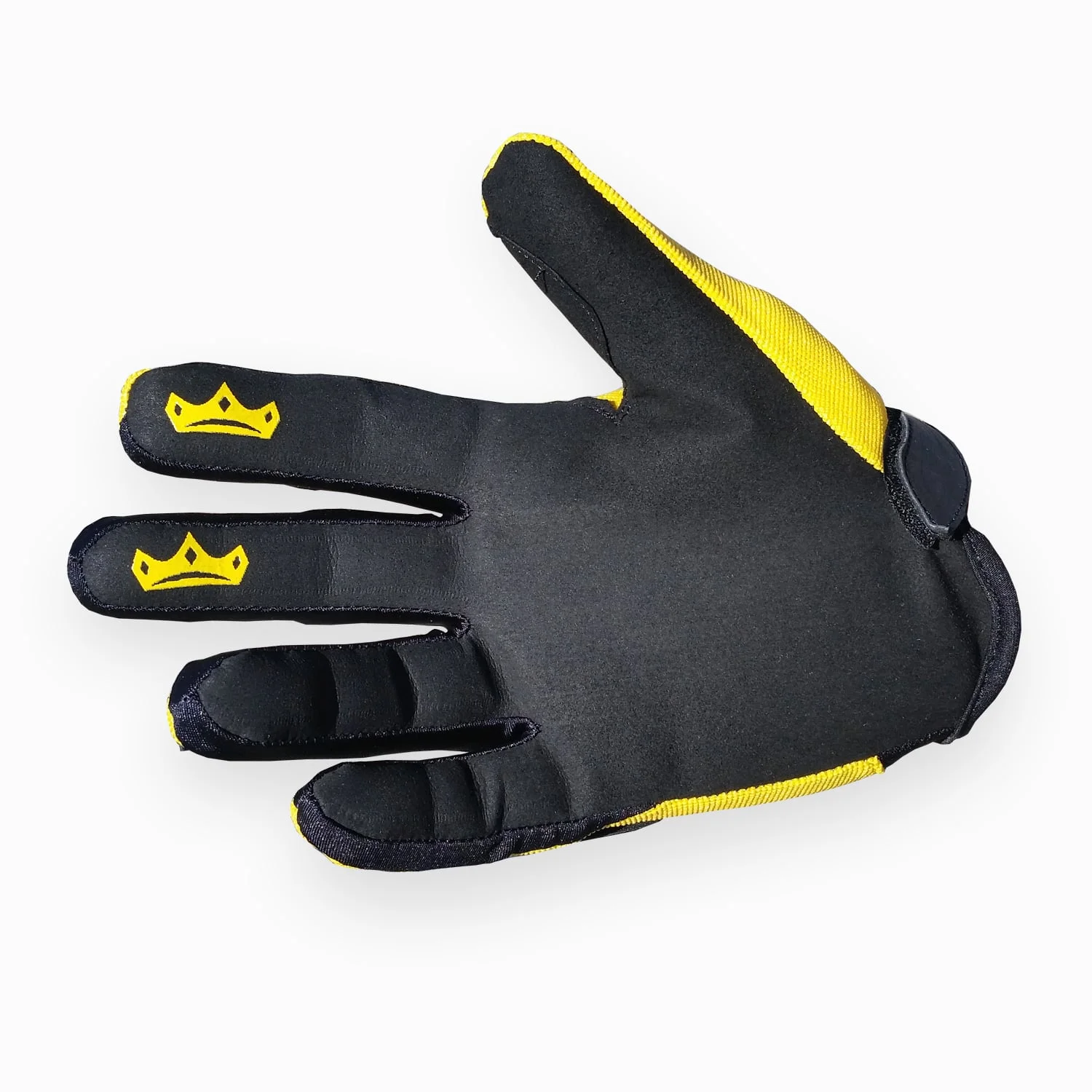 Old_School_Yellow-palm.jpg
