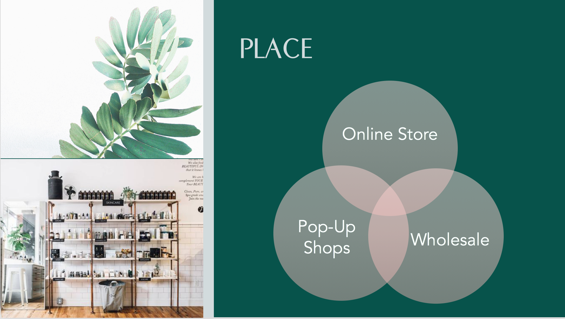 Screen Shot 2017-12-01 at 8.37.27 PM.png