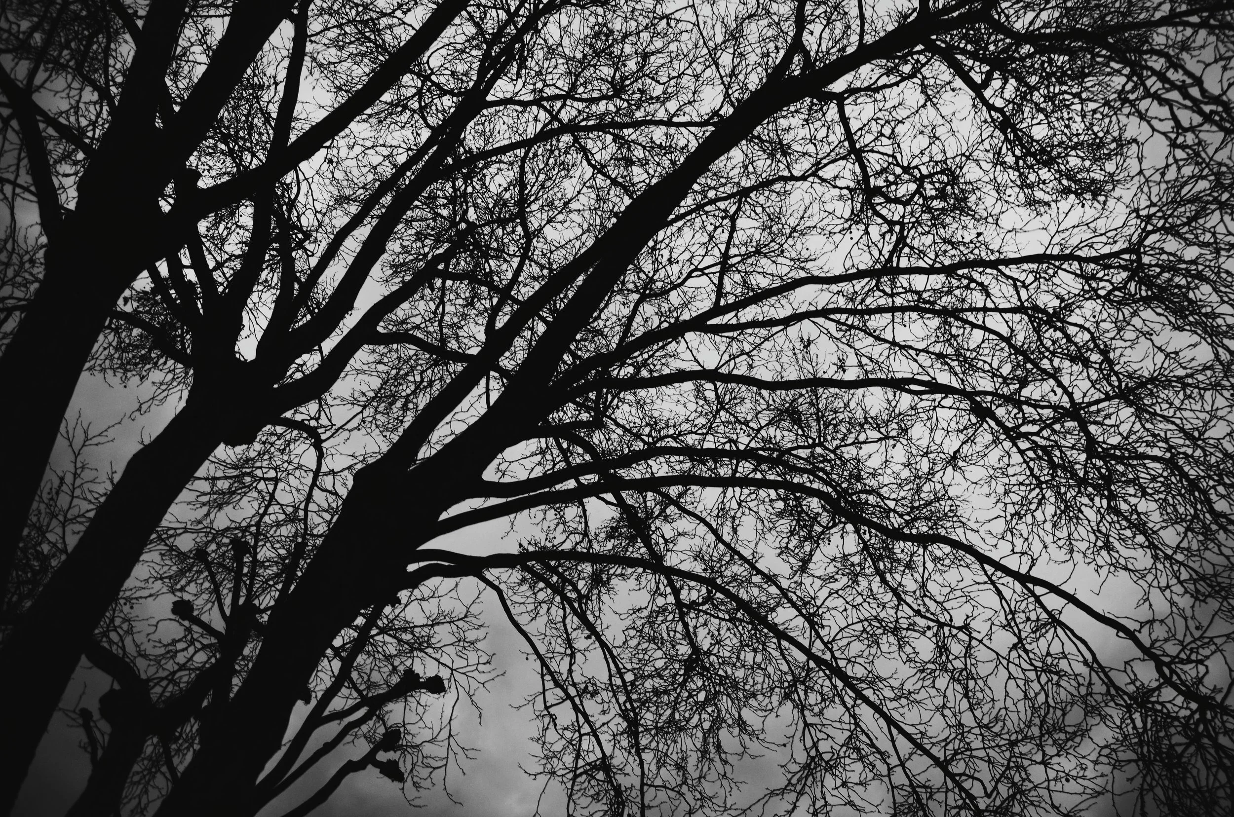 2018-02-05 06.23.12 1.jpg