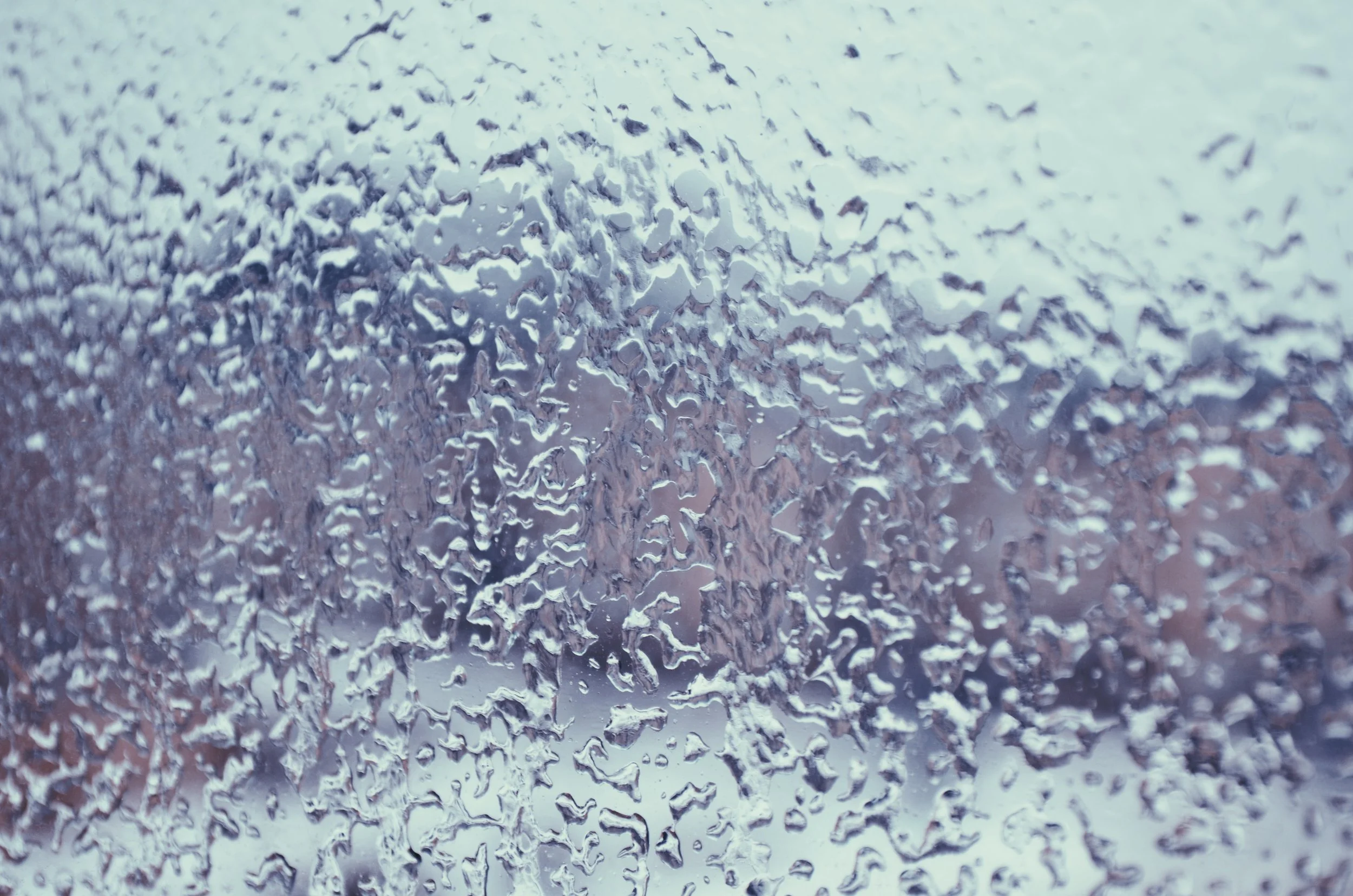 2018-03-04 06.27.30 1.jpg