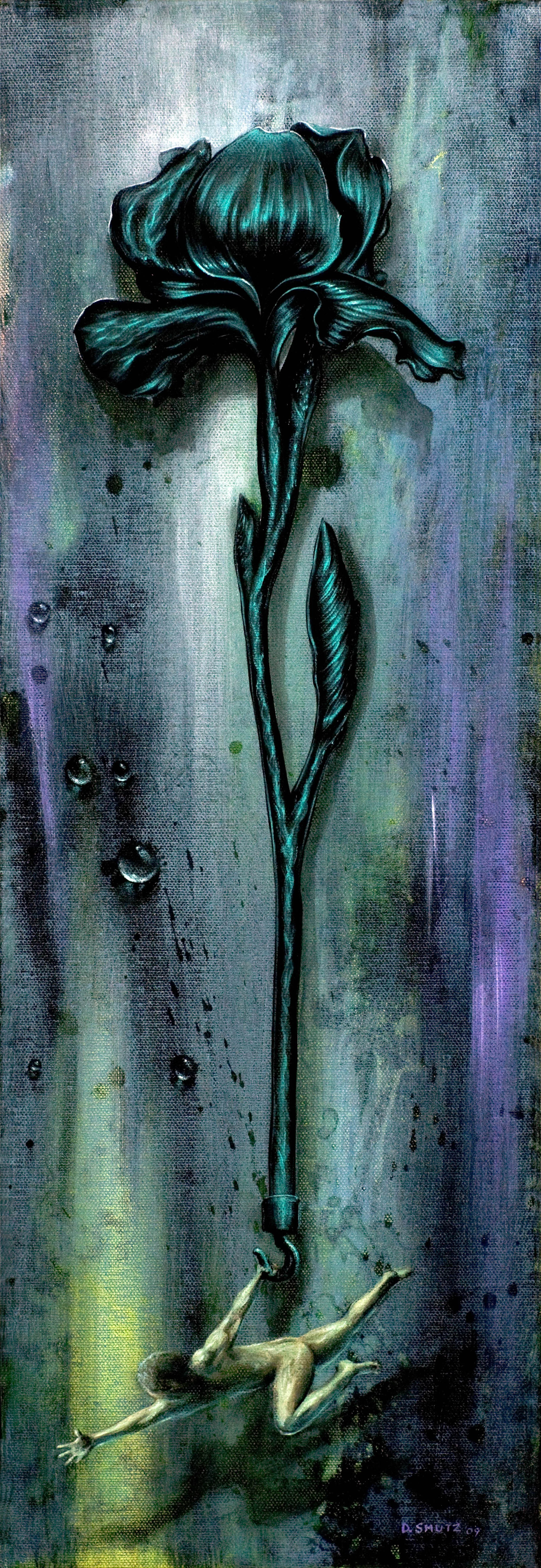 BLACK IRIS 1