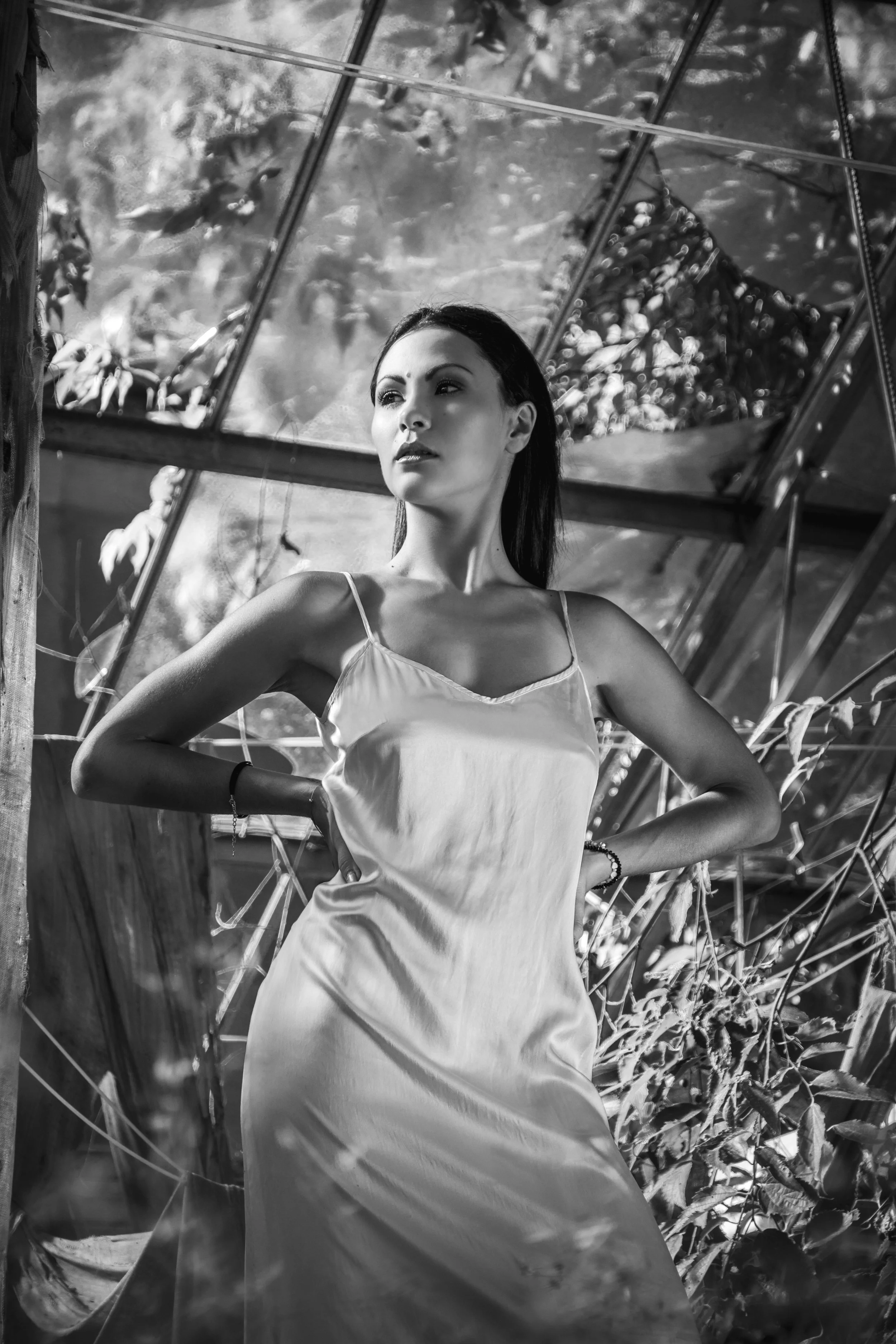 DSC_1155_v01_BW_v01.jpg