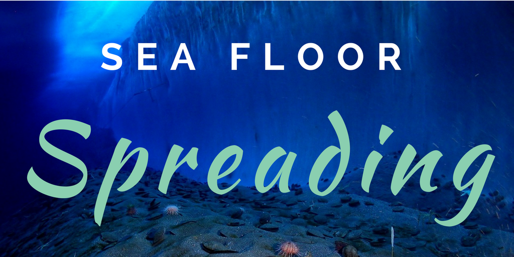 SES2. e The formative addresses student's understanding of the mechanism of sea-floor spreading and the following associated vocabulary: sonar, deep-ocean trench, mid-ocean ridge, rift valley, sea-floor spreading, subduction, paleomagnetism (supports/modeled after the guided reading worksheets 9.2 from Prentice Hall Earth Science 2009 Tarbuck and Lugens).