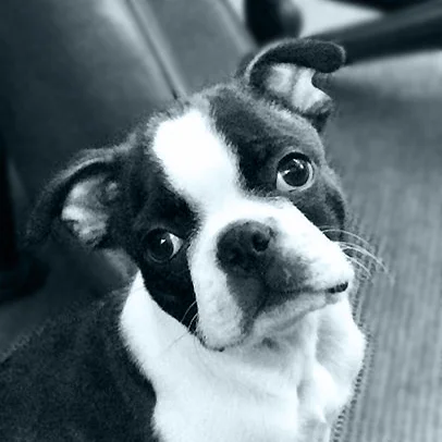 franklin_scanlab_headshot.jpg