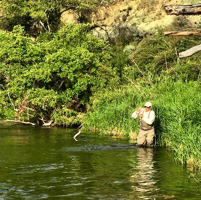 We&rsquo;ve got lift off! #deschutesriveranglers #lostcoastoutfitters #dryflyfishing #campingtrips #catchandrelease #fishinginoregon #deschutesriver #keepemwet #thepatientangler