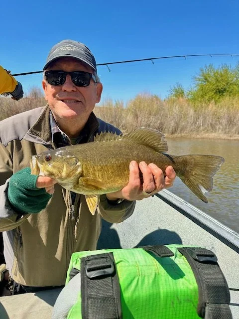 Bassin