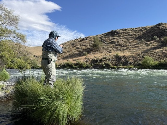 July Caddis