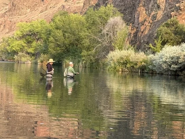 August Owyhee