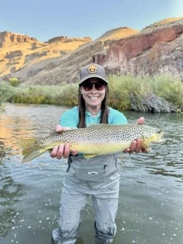 owyhee 2026