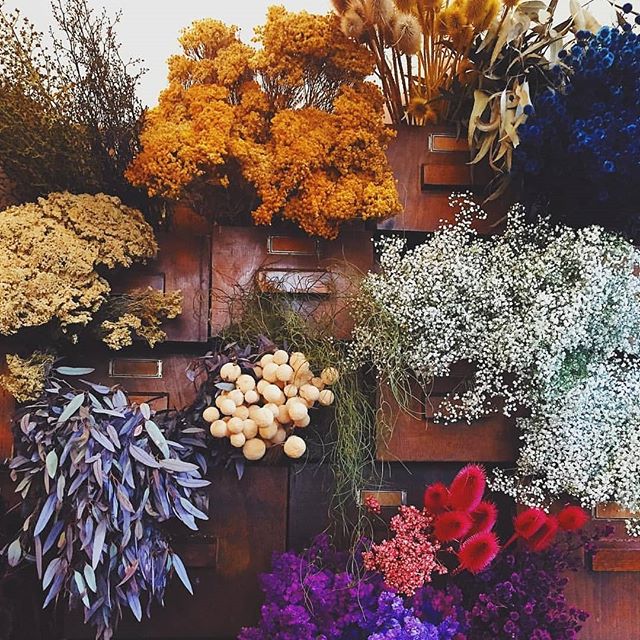 Dried Flowers