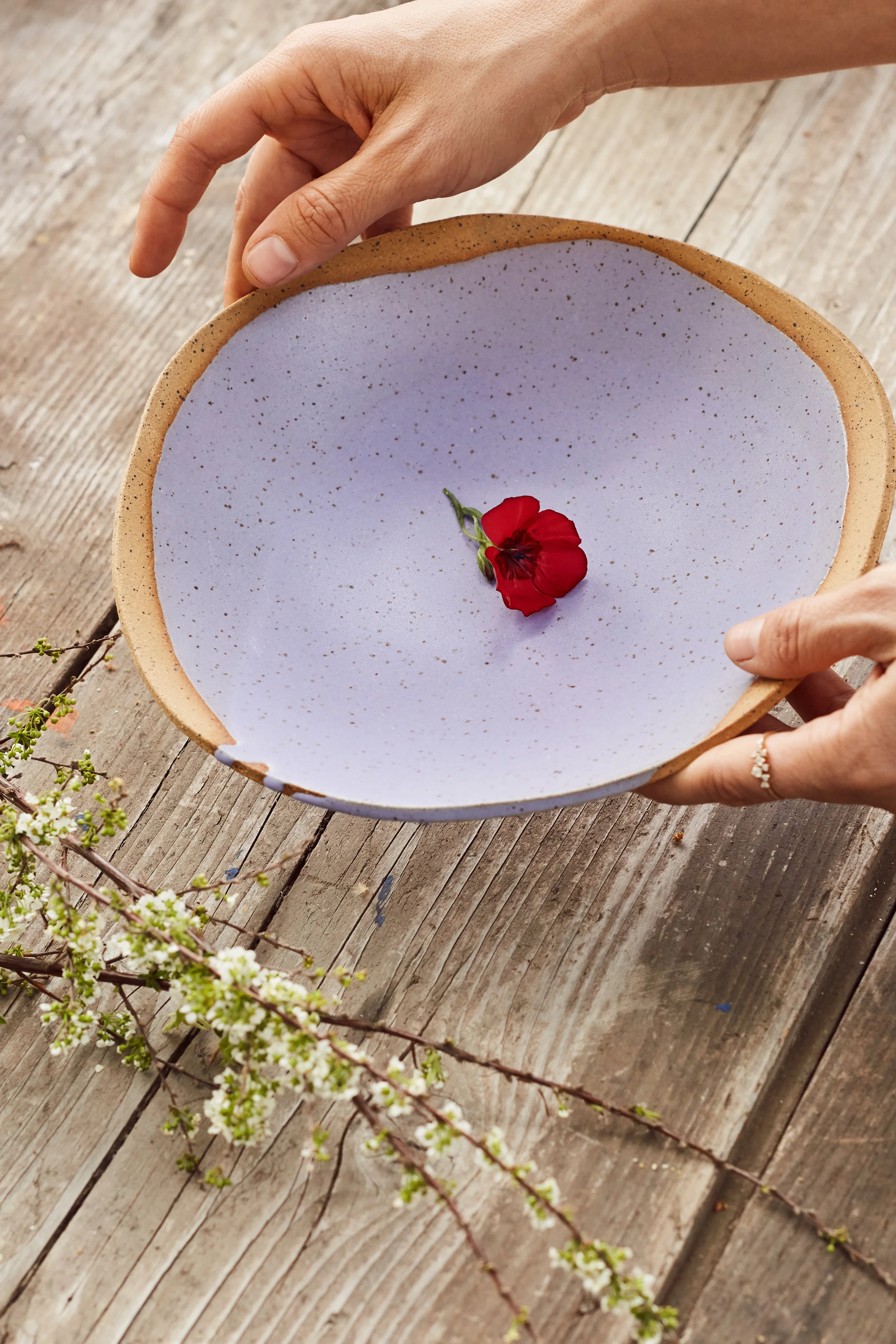 2019_04_09_EE_CATALOG8755.jpg